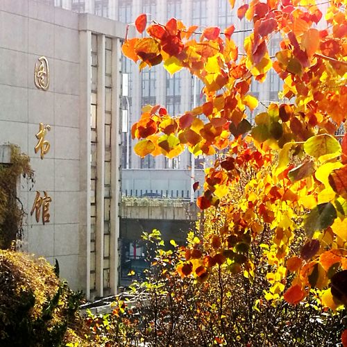学院图书馆